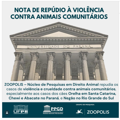 Cão Orelha - Barbárie Animal